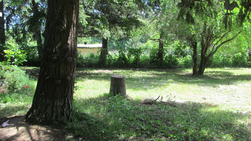 More of the "Shady Picnic area."