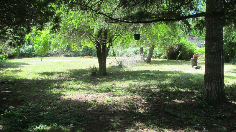 More of the "Shady Picnic area."