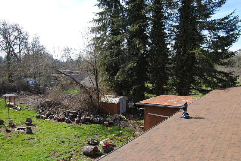 View southwest from the southeast roof.