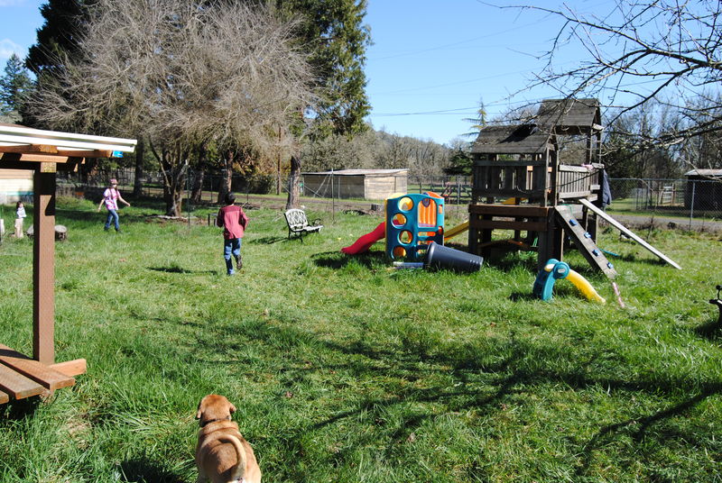 Kids and Pono the dog.  Some push mowed grass.