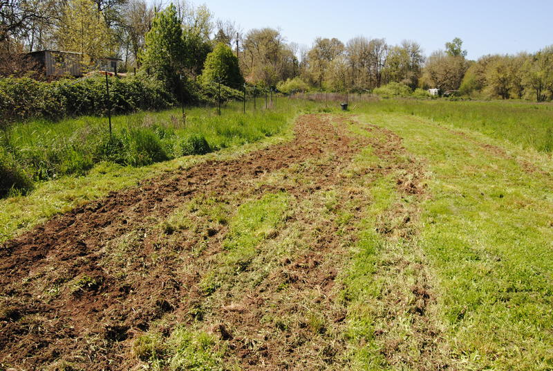 A rototilled section of ground.  The tiller gave up before the job was completed.