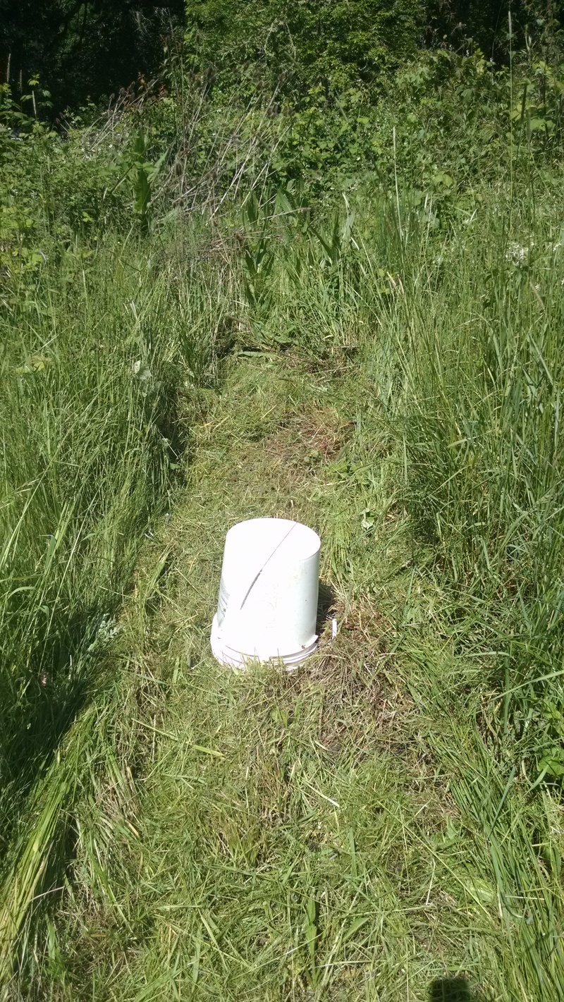 I found a rabbit hole while going in reverse. It was about a foot deep and my foot went right in. Fortunately I had found a #10 can about 20 feet away and a white bucket. So I put the can in the hole (which fit perfectly) and then put the bucket on top. I wonder what the rabbit will do? I saw the rabbit last year.