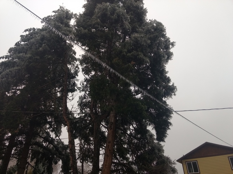 Icicles on the utility lines.