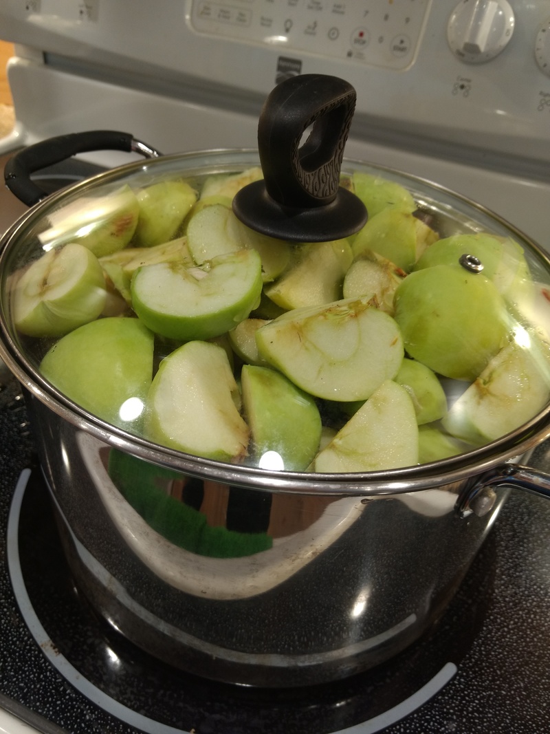 Lois quartered the apples and steamed them.