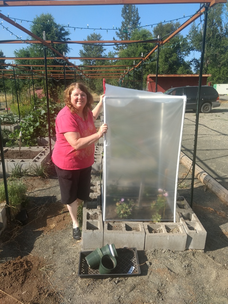 Lois stands next to our new Mini Greenhouse. We love it!