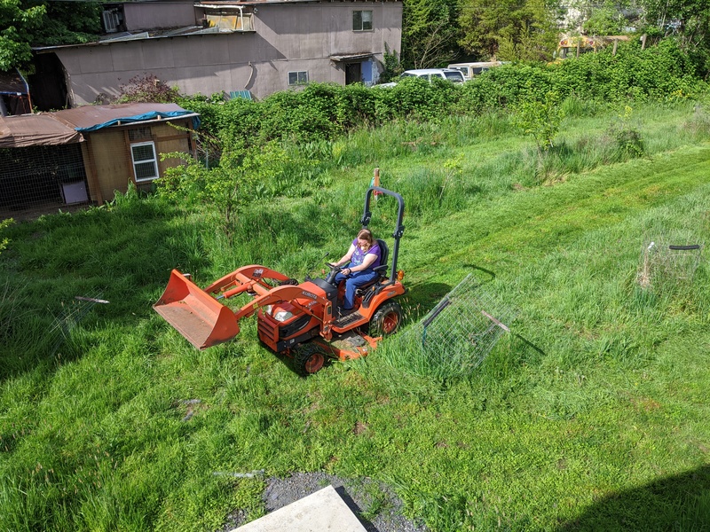 Lois mows the Blueberry / Chicken Run area