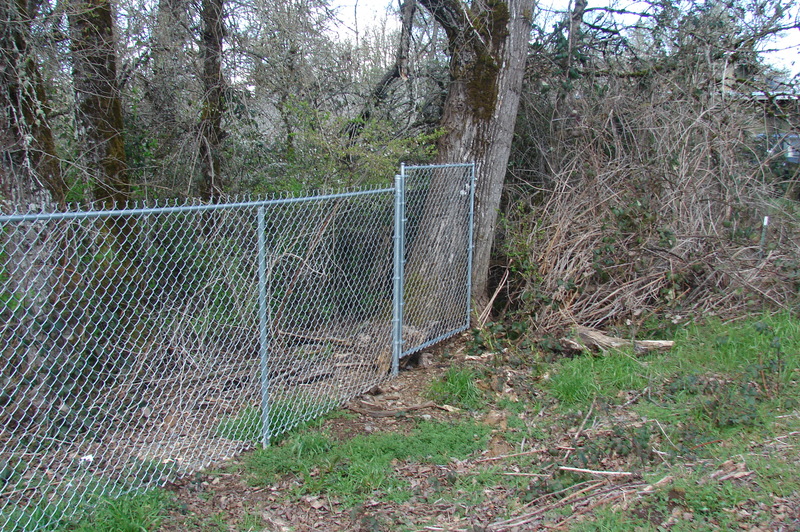 North-east corner fence.