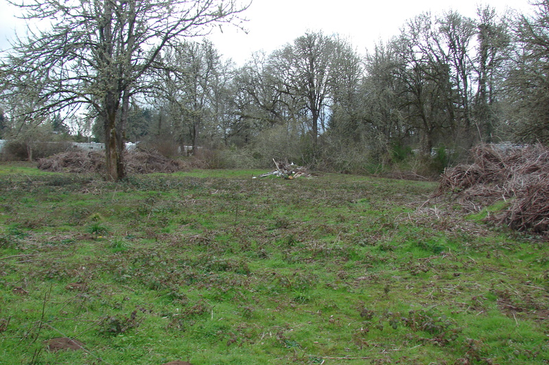 Field and debris pile
