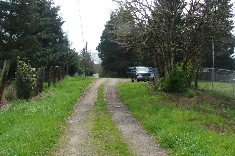 Looking south from the north side of Rosewold Lane.  This gives you an idea of the width of the easement.