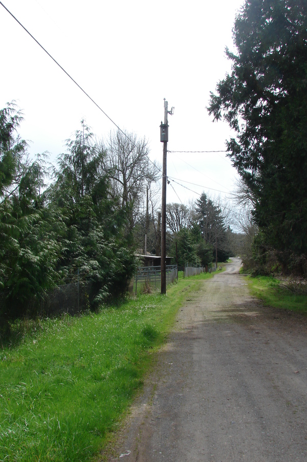 Looking south, a utility power pole with a wire heading along Rosewold Lane to Rosewold Cottage.