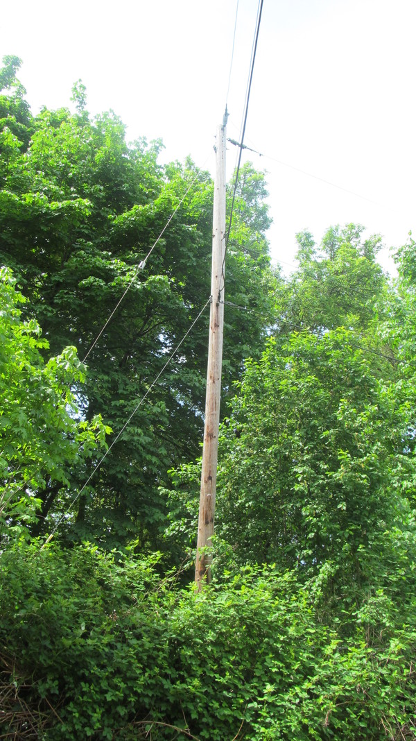 Power pole on neighbors.