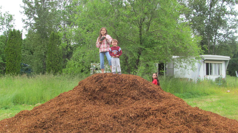 King of the mountain? Wood chip pile.