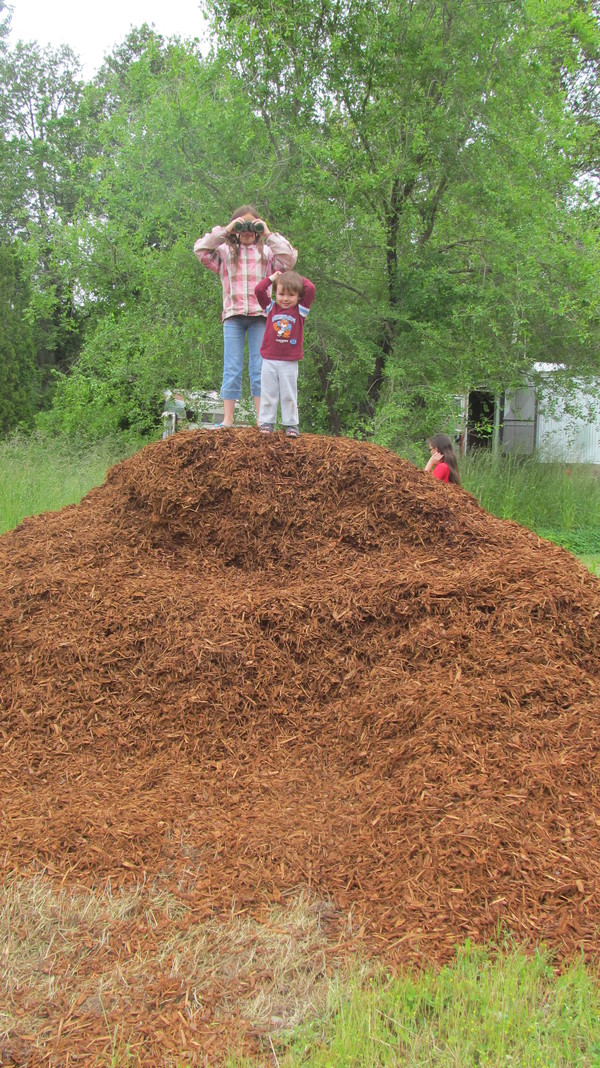Here's looking at you kid! Wood chip pile.