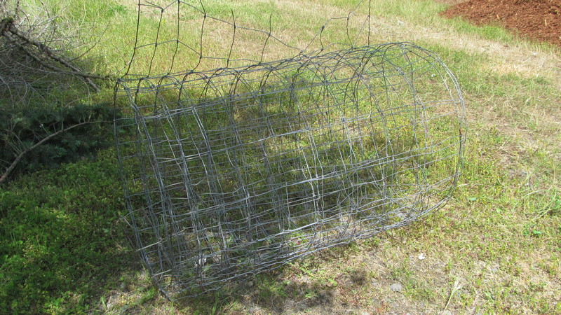 I found a roll of fencing. Do you think it might help with deer control?
