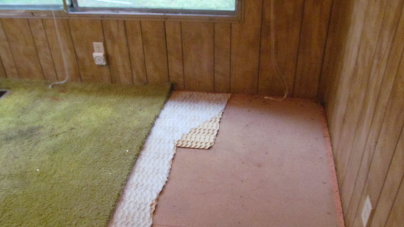 I'm starting to rip out the carpet and padding out of the NE bedroom.