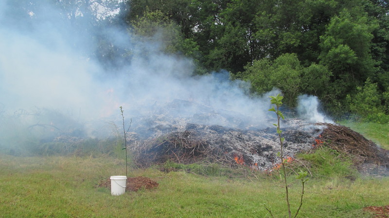 We got tired of moving blackberry vines from this huge pile to the little fire to the side.