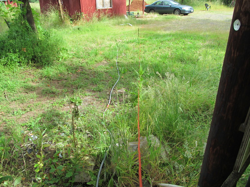 Here are the water and extension cords running to the red shed and past to the well house.