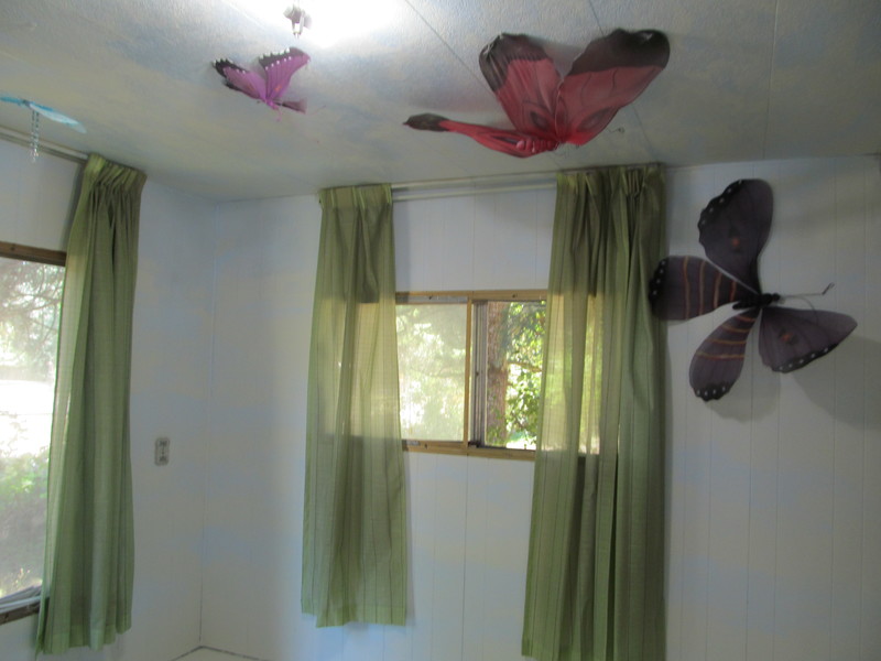 Butterfly room.