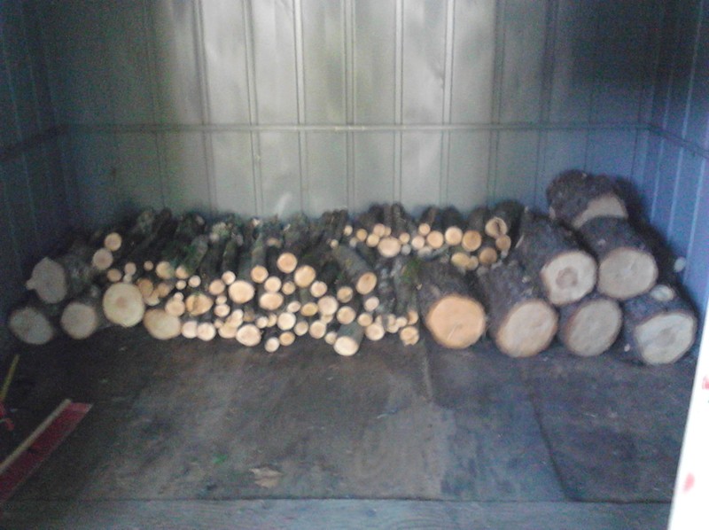 Wood stacked for later campfires.