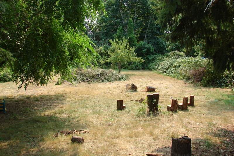 From the ramp, looking out toward the picnic area.  The cedar chairs are in front of the proposed smores site.