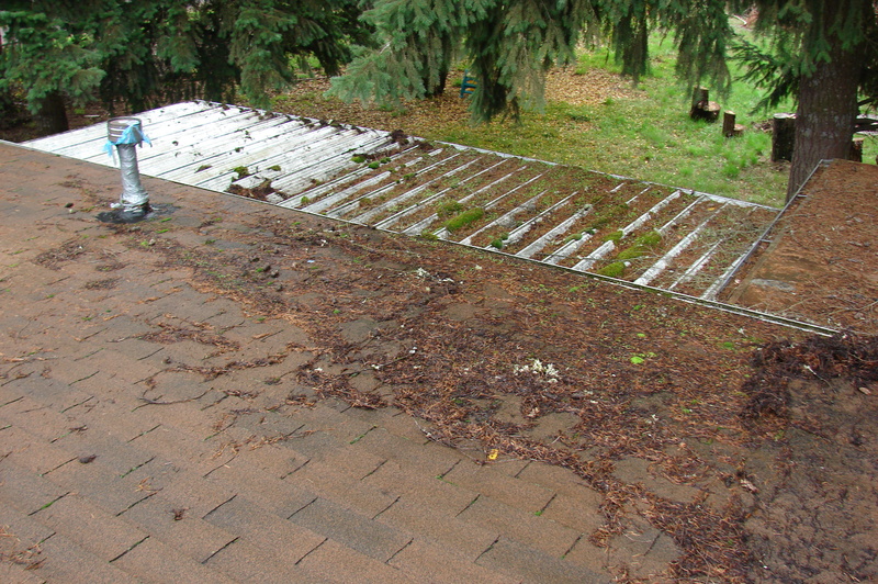 The porch roof after a little work.