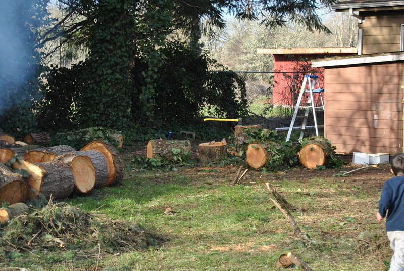 Wood chopping station.