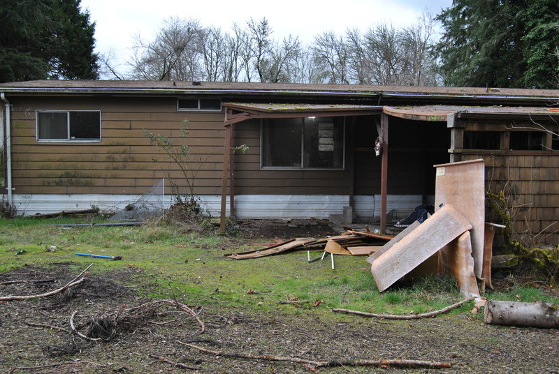 The north side of the cottage after the usable boards have been removed. Carport.