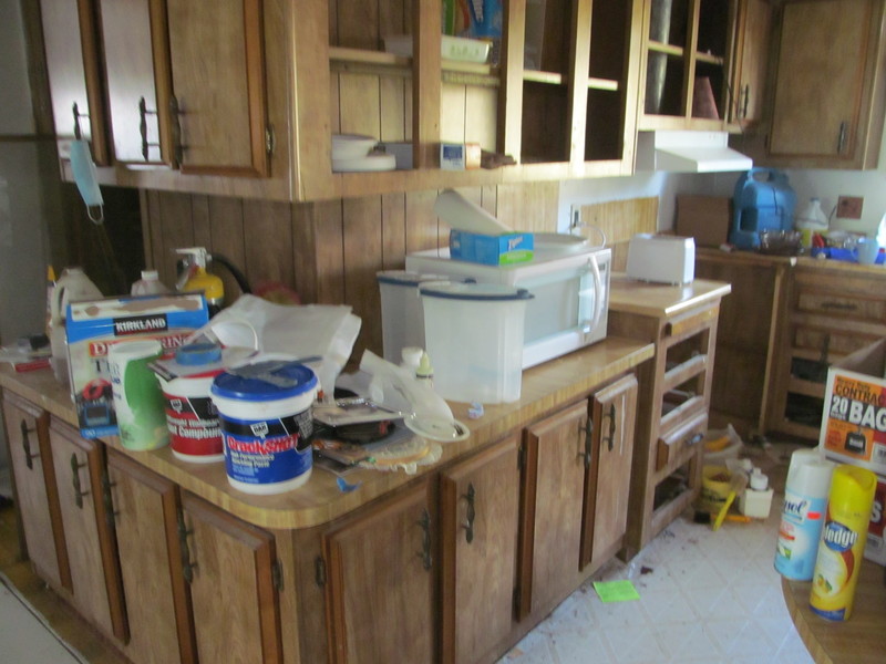 More of the kitchen cabinets. It also shows the new microwave.