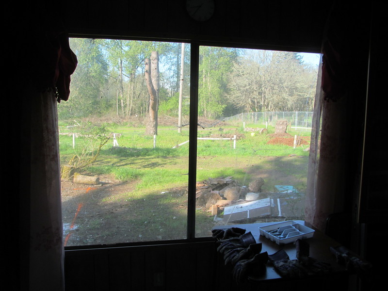 looking out the Eating area window that will become the new front door. Notice the bbgun or bullet hole on right.