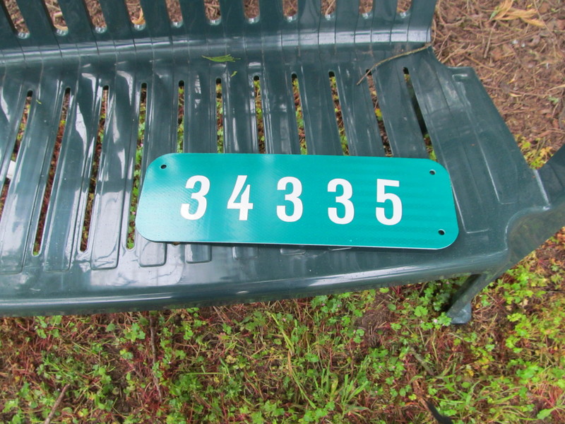 Meanwhile I made a 34335 sign for the front to let people know what address this is.