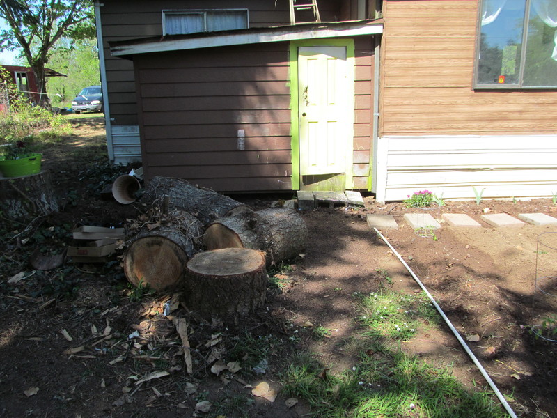 Pathway cleared for cement brick path to the clubhouse door.