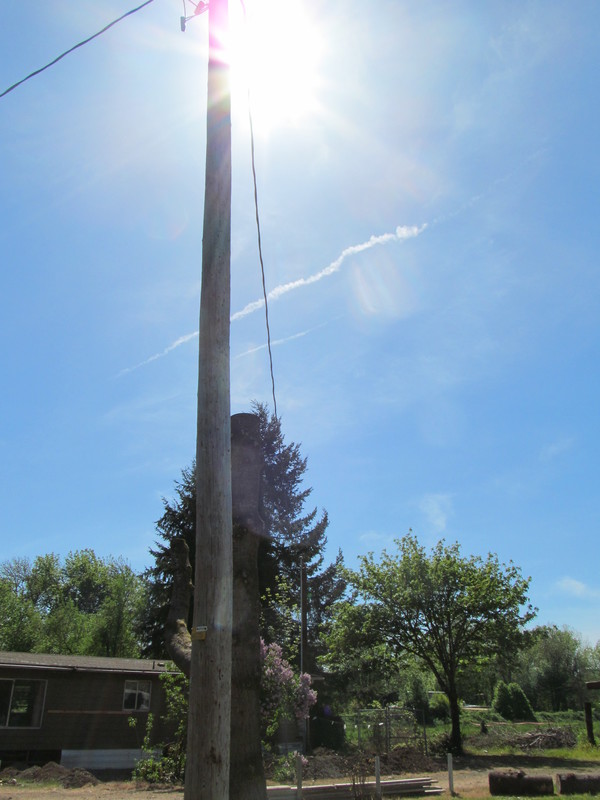 view of the pole, wire, and fort tree limb.