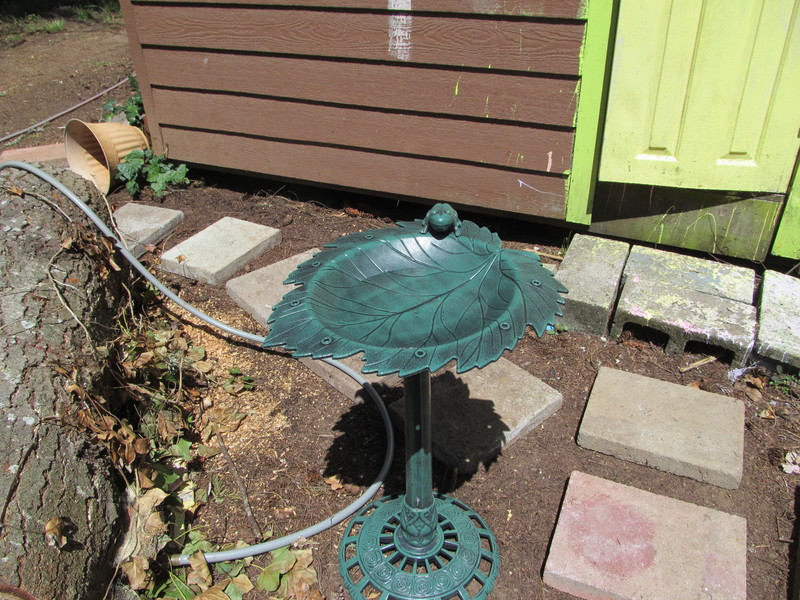 And Shannon assembled the bird bath.