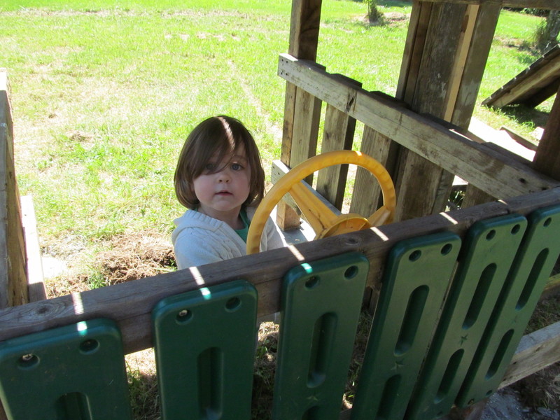 Emily at the Play Structure