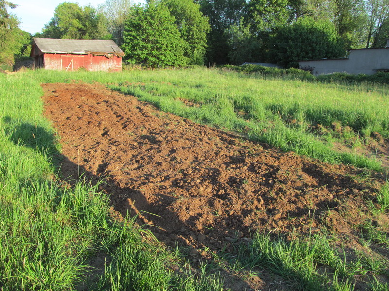 Early tilling of the farm / vegetable garden space.
