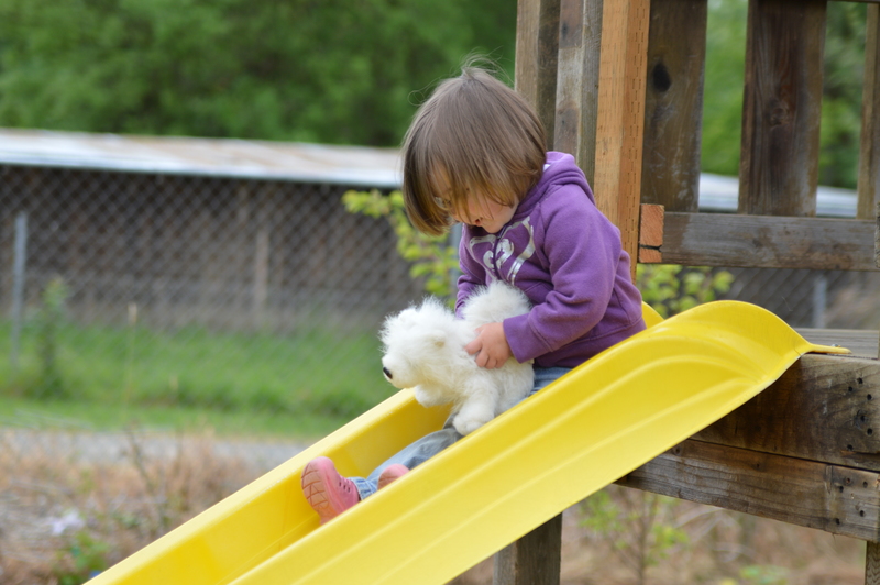 Emily and Webkinz on the slide.