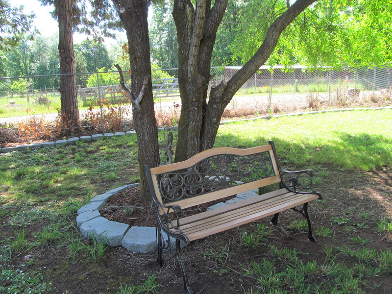 Scrollwork Bench in the Picnic Area.