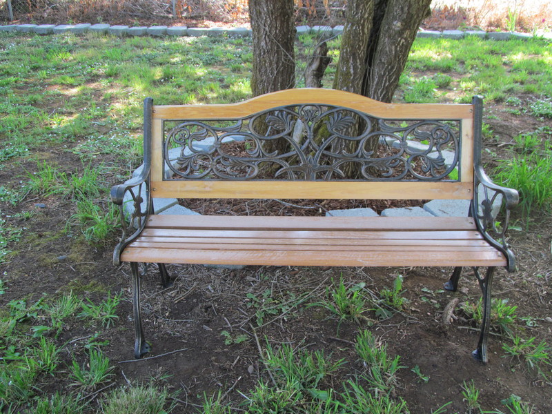 Scrollwork Bench in the Picnic Area.