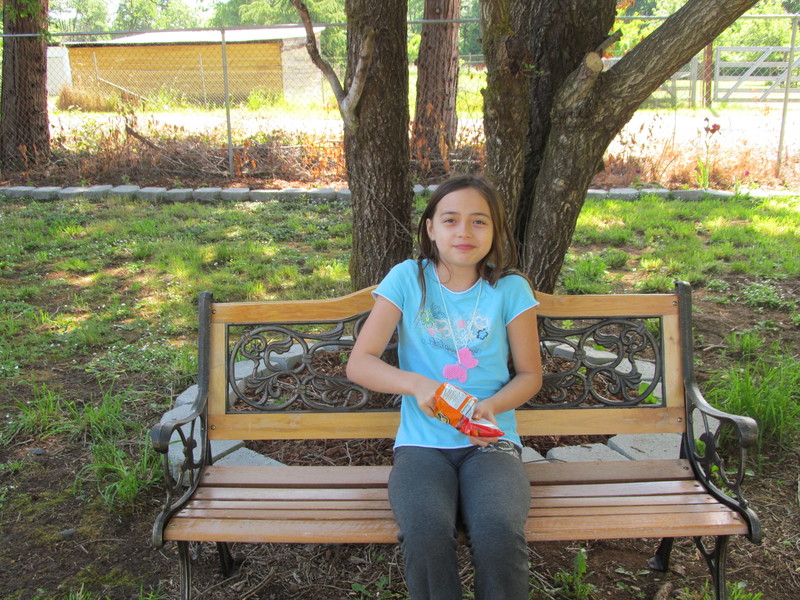 Latia tests the Picnic Area bench.