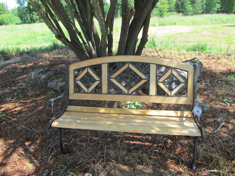 Diamond Bench at the Fairy Tree. $139 price tag is showing.
