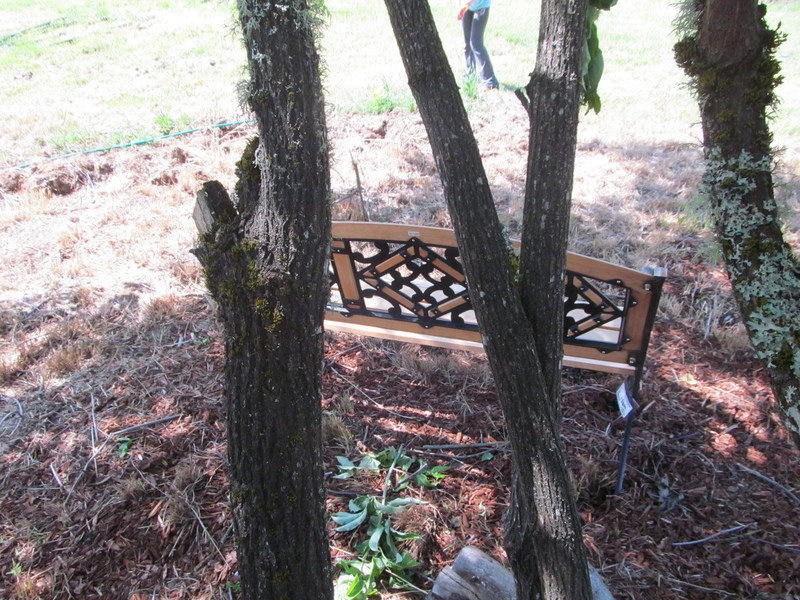 Diamond Bench at the Fairy Tree. View of the back.