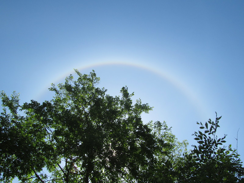 The sun made a "rainbow" in the sky straight above. I assume it's a circle, but the sun was too bright to look at.