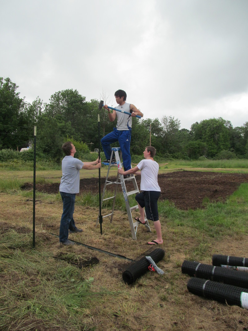 Kai pounds in a fence post. Joseph and Isaac steady the ladder.