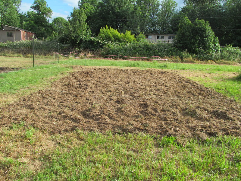 Joseph rototilled an area for the new blueberry field. It is north of the grape arbor and west of the vegetable garden.