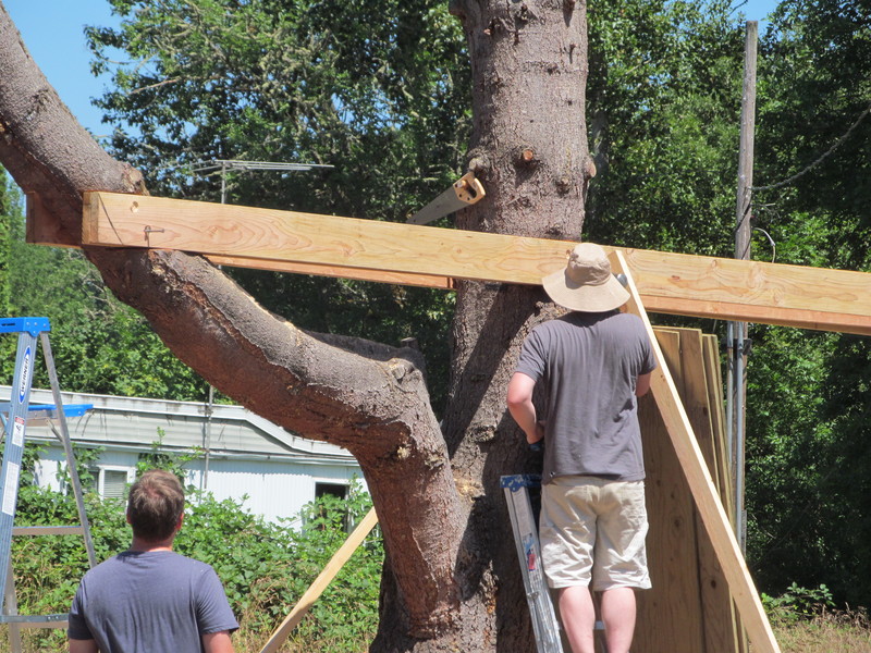 July 6: Daniel, Ben. Side two is being bolted into place. Tree house.