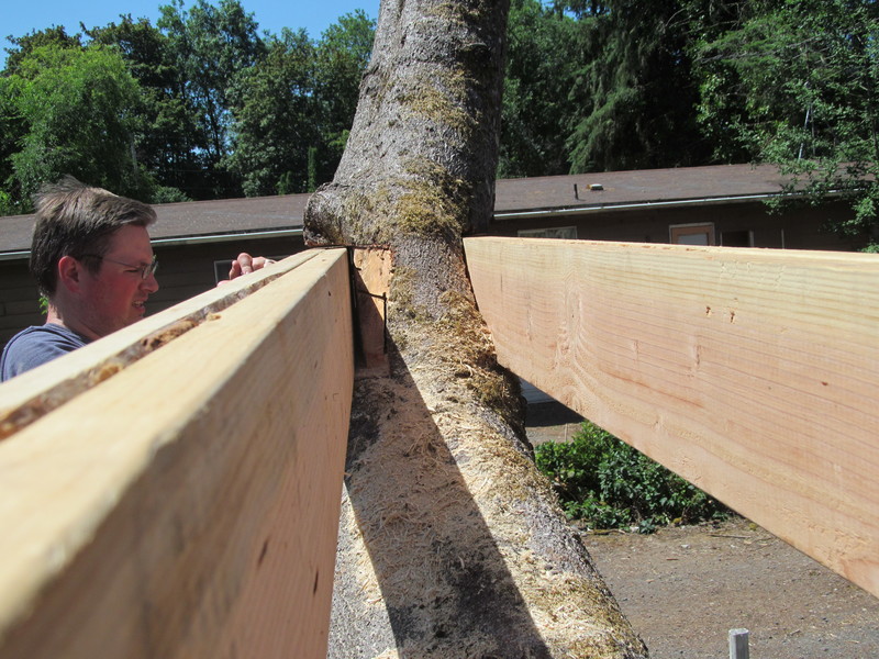 Daniel. Each side has two 2x8 planks, 20 feet long. Tree house.