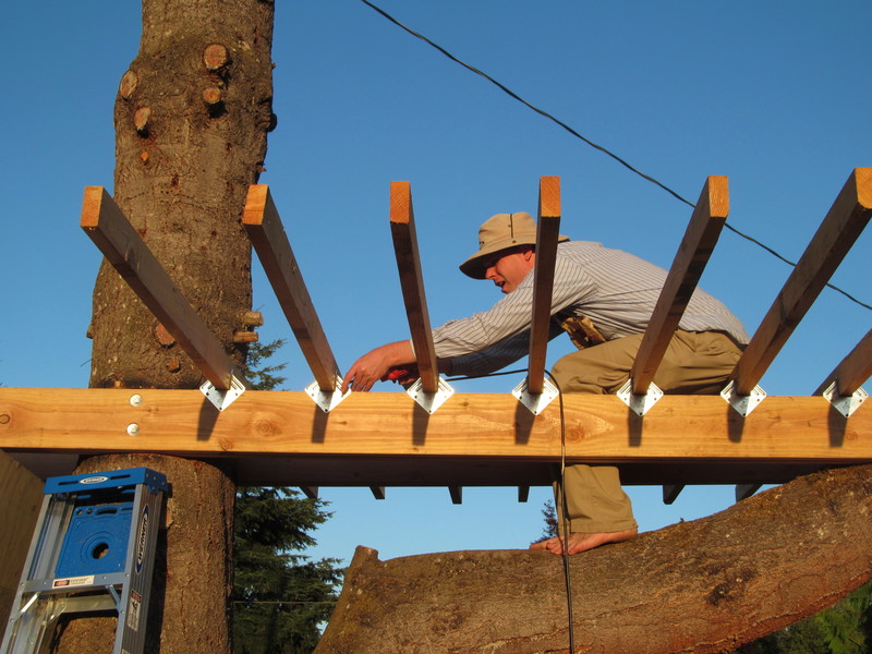 Joseph. Ah, we have a screwdriver bit again, and we can continue securing the ribs to the keel. Tree house.