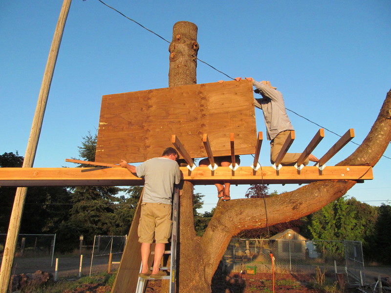 The first sheet of plywood is hoisted up to the deck. Rune, Joseph. Tree house.