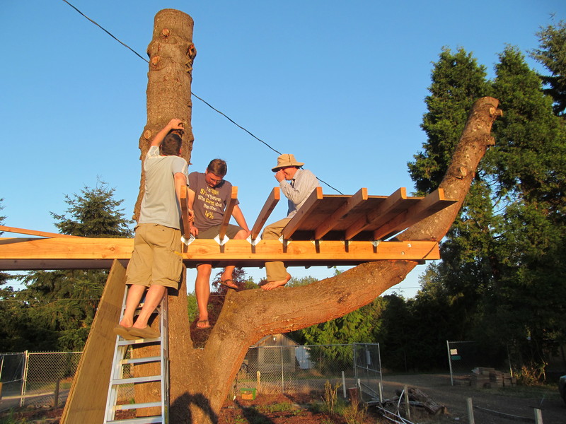 Rune, Daniel, Joseph. The plywood is sturdy. Tree house. Eastern fence.
