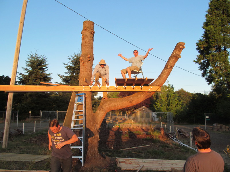 Daniel, Joseph, Rune, Ben. Rune sits on a chair, on a sheet of 3/4 inch plywood, on the 2x4s, on the keel of the ship. Tree house.